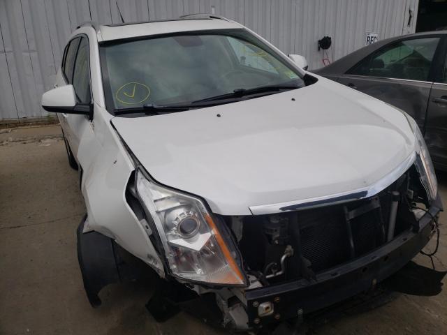 CADILLAC SRX LUXURY 2010 3gyfnaey0as651701