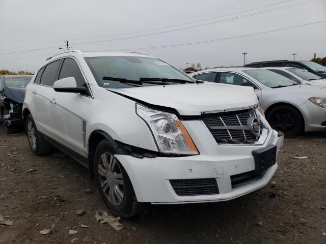 CADILLAC SRX LUXURY 2011 3gyfnaey0bs537635