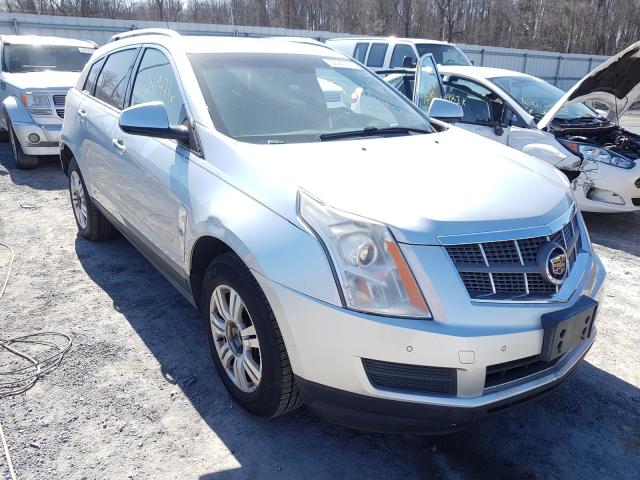 CADILLAC SRX LUXURY 2011 3gyfnaey0bs547422