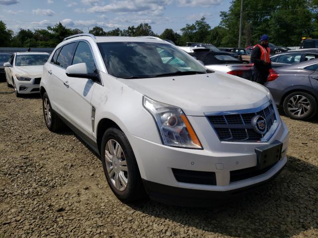 CADILLAC SRX LUXURY 2011 3gyfnaey0bs628226