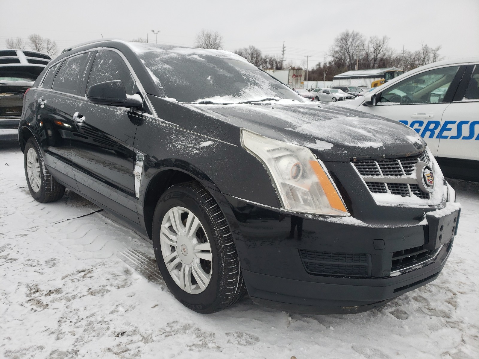 CADILLAC SRX LUXURY 2010 3gyfnaey1as508482