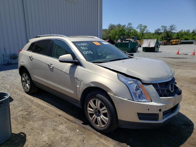 CADILLAC SRX LUXURY 2010 3gyfnaey1as511253