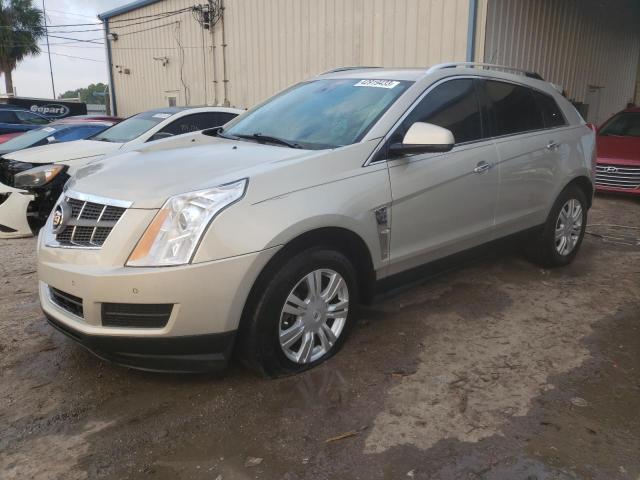 CADILLAC SRX LUXURY 2010 3gyfnaey1as513083