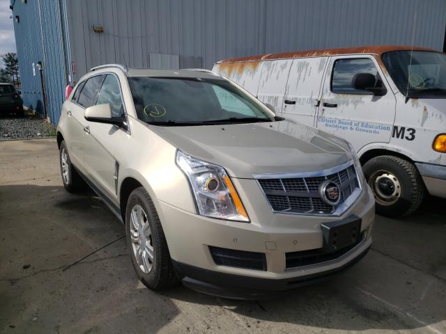 CADILLAC SRX LUXURY 2010 3gyfnaey1as611837