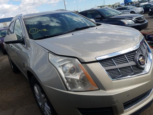 CADILLAC SRX LUXURY 2010 3gyfnaey1as646569