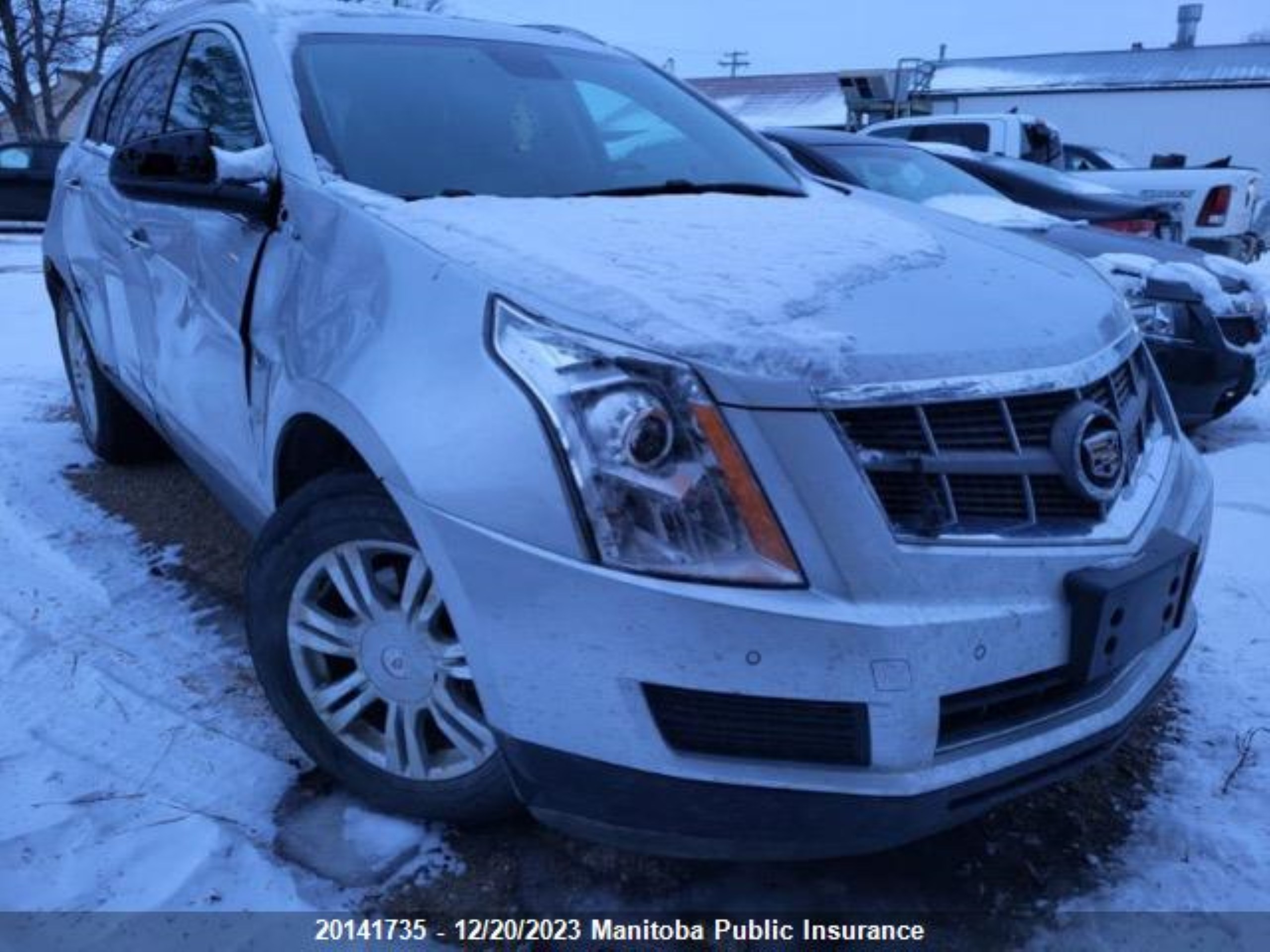 CADILLAC SRX 2010 3gyfnaey1as653196