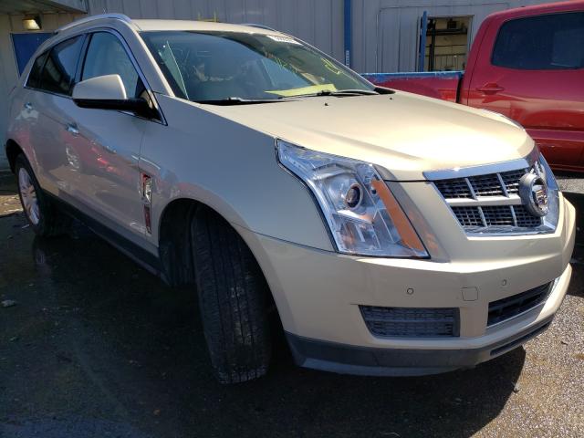 CADILLAC SRX LUXURY 2011 3gyfnaey1bs520326