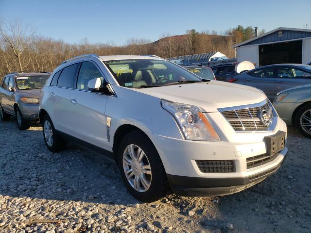 CADILLAC SRX LUXURY 2011 3gyfnaey1bs548756