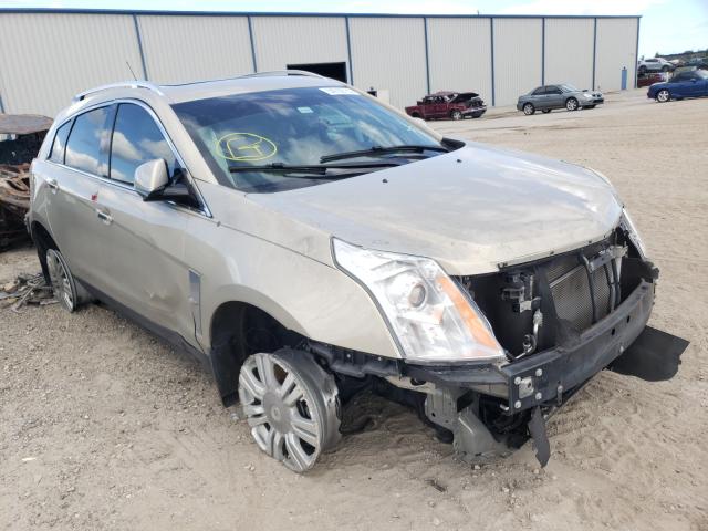 CADILLAC SRX LUXURY 2011 3gyfnaey1bs612939