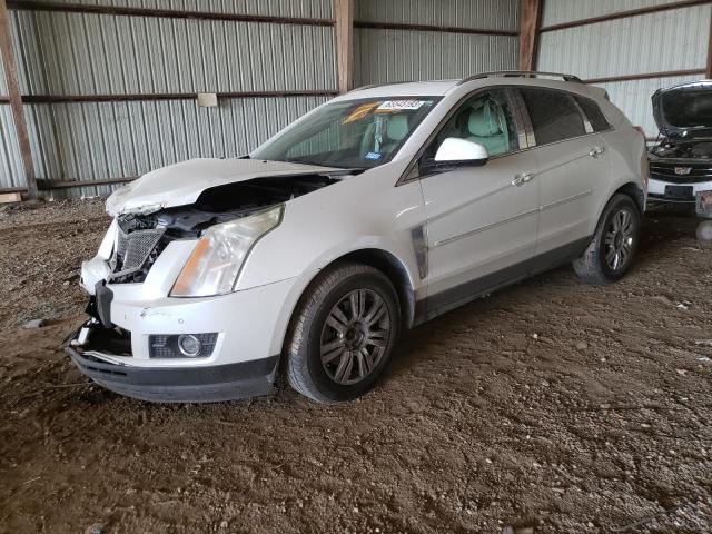 CADILLAC SRX LUXURY 2011 3gyfnaey1bs631085