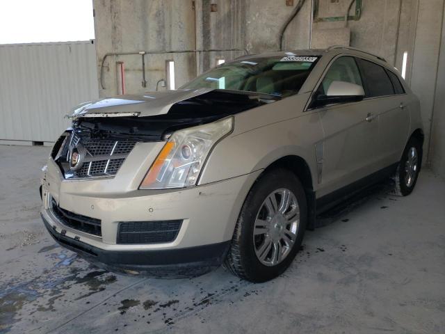 CADILLAC SRX LUXURY 2011 3gyfnaey1bs679329