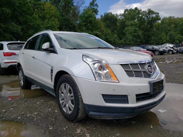 CADILLAC SRX LUXURY 2010 3gyfnaey2as652879