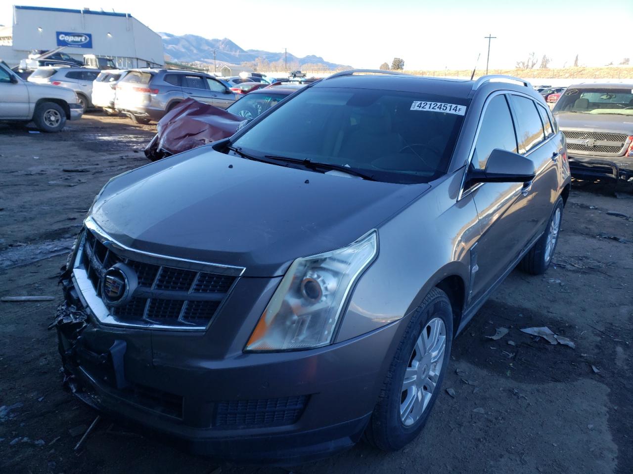 CADILLAC SRX 2011 3gyfnaey2bs650079