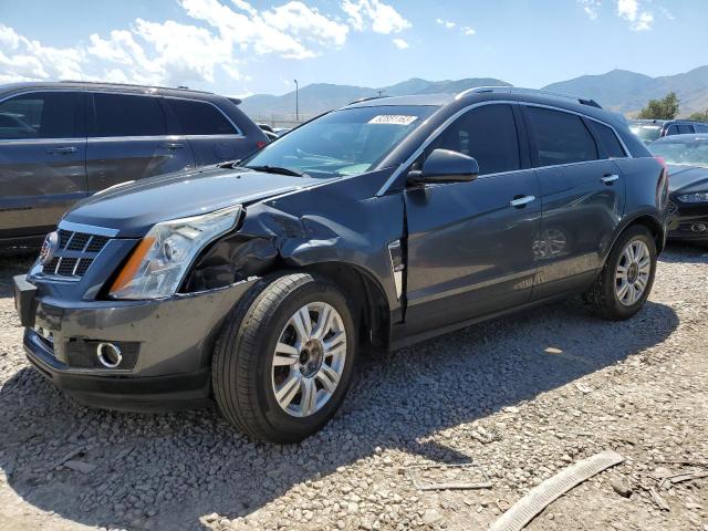 CADILLAC SRX LUXURY 2010 3gyfnaey3as505812