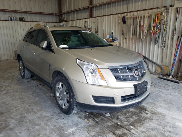 CADILLAC SRX LUXURY 2010 3gyfnaey3as511237