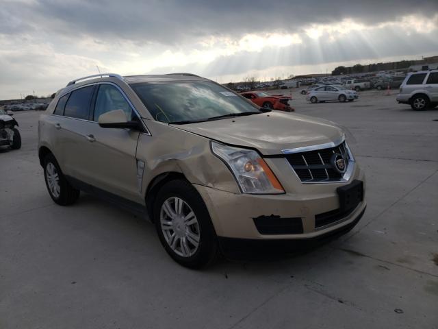 CADILLAC SRX LUXURY 2010 3gyfnaey3as555187