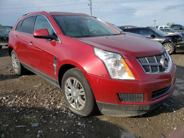 CADILLAC SRX LUXURY 2011 3gyfnaey3bs566210