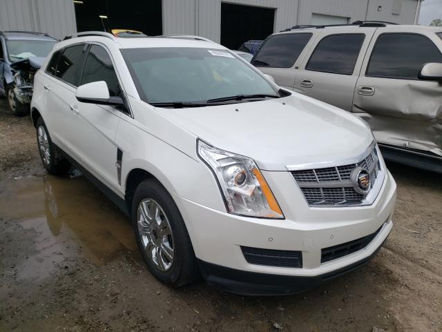 CADILLAC SRX LUXURY 2011 3gyfnaey3bs566496