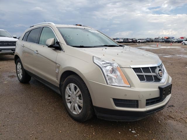 CADILLAC SRX LUXURY 2011 3gyfnaey3bs567034