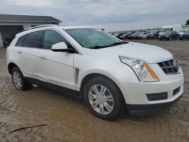 CADILLAC SRX LUXURY 2011 3gyfnaey3bs614109