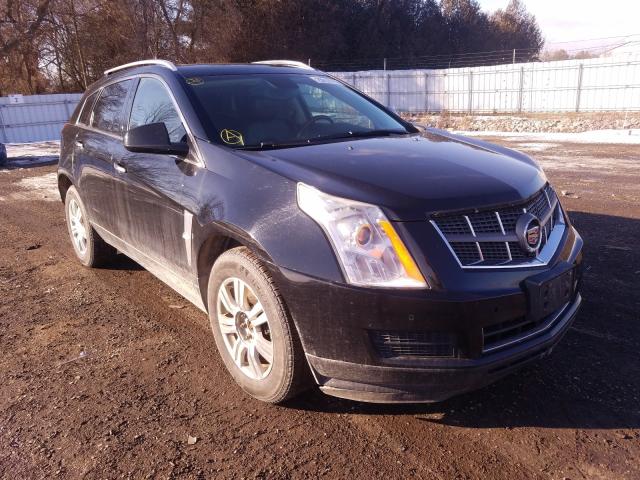 CADILLAC SRX LUXURY 2010 3gyfnaey4as508346