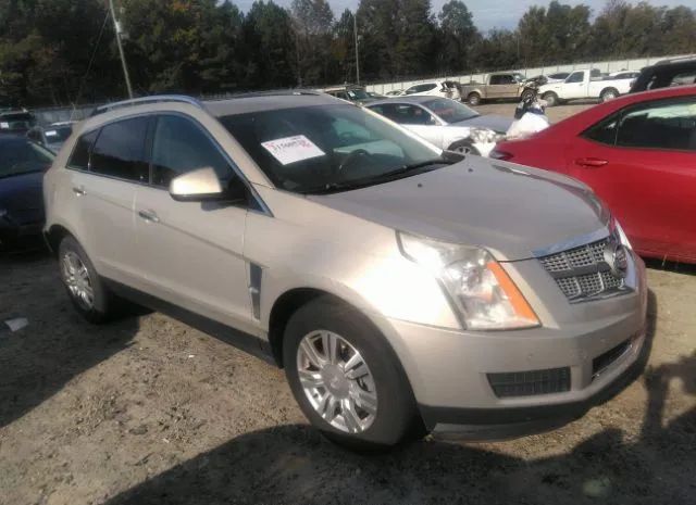 CADILLAC SRX 2010 3gyfnaey4as555201