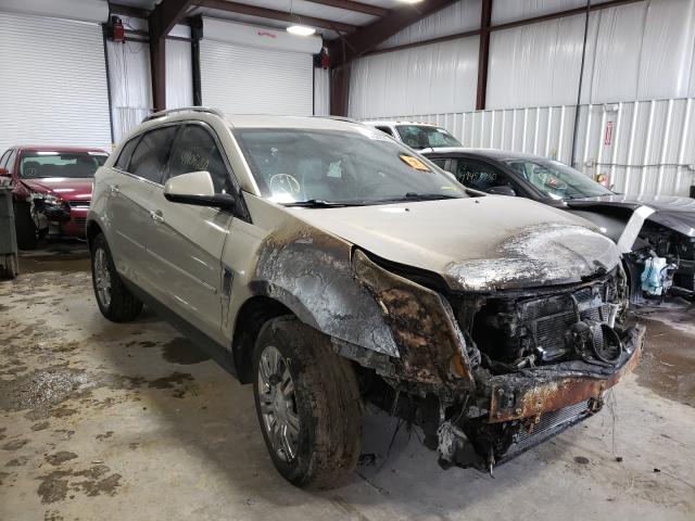 CADILLAC SRX LUXURY 2010 3gyfnaey4as626753