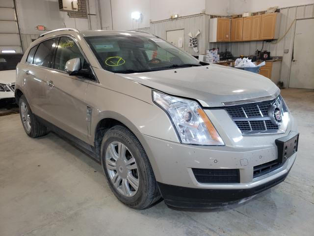 CADILLAC SRX LUXURY 2011 3gyfnaey4bs575482