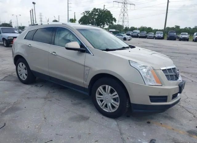 CADILLAC SRX 2011 3gyfnaey4bs660337