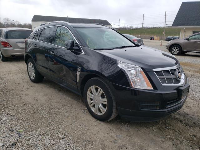 CADILLAC SRX LUXURY 2011 3gyfnaey4bs667787