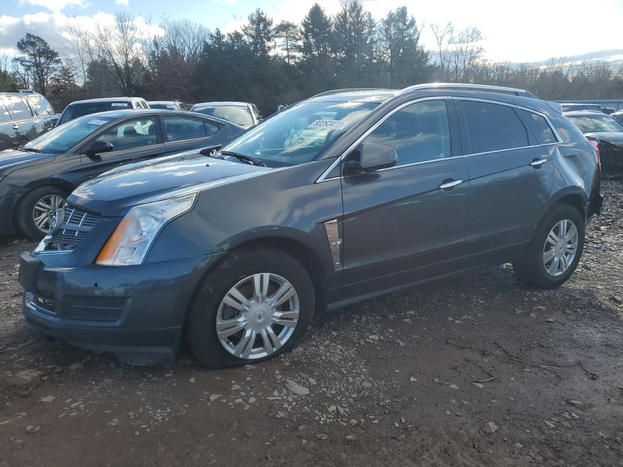 CADILLAC SRX 2010 3gyfnaey5as591849