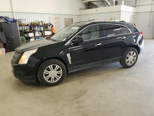 CADILLAC SRX LUXURY 2010 3gyfnaey5as623019