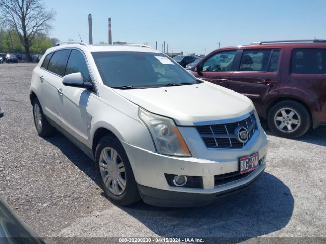 CADILLAC SRX 2010 3gyfnaey5as625305