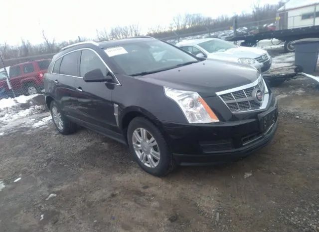 CADILLAC SRX 2010 3gyfnaey5as631993