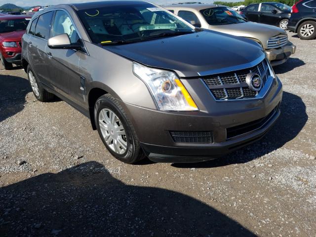 CADILLAC SRX LUXURY 2011 3gyfnaey5bs531359