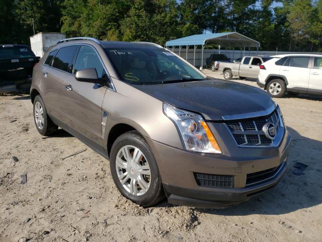 CADILLAC SRX LUXURY 2011 3gyfnaey5bs589679