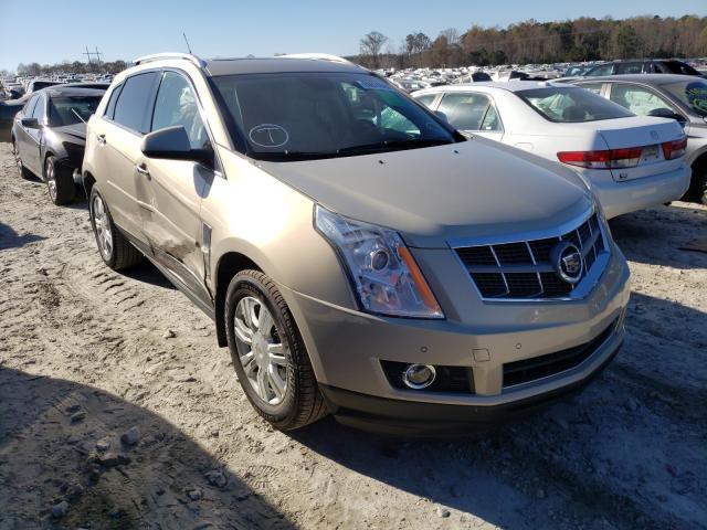 CADILLAC SRX LUXURY 2011 3gyfnaey5bs601877