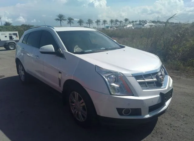 CADILLAC SRX 2011 3gyfnaey5bs614175