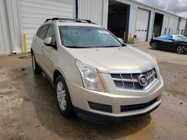 CADILLAC SRX LUXURY 2010 3gyfnaey6as544037