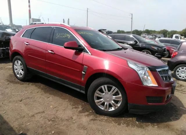 CADILLAC SRX 2010 3gyfnaey6as561081