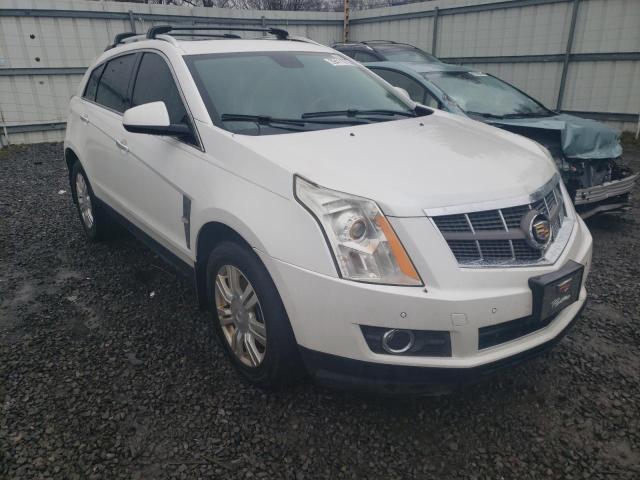 CADILLAC SRX 2010 3gyfnaey6as564160