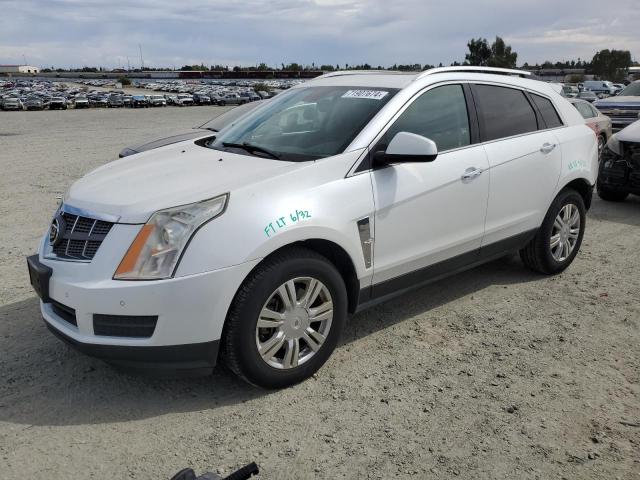 CADILLAC SRX LUXURY 2010 3gyfnaey6as597336