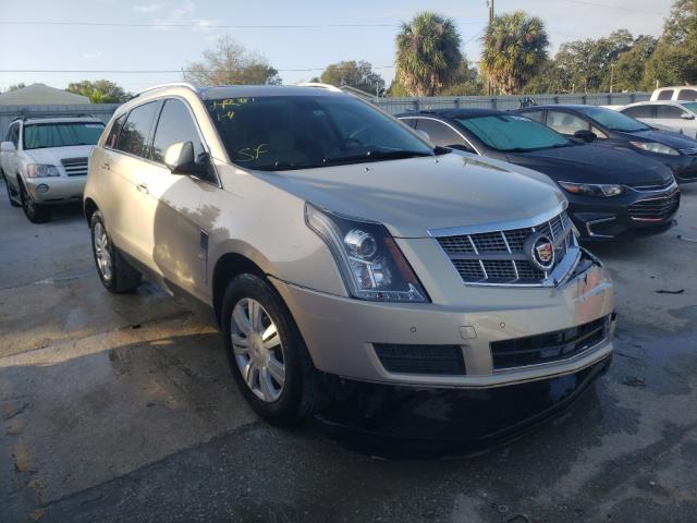 CADILLAC SRX LUXURY 2010 3gyfnaey6as628455