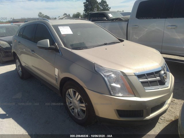 CADILLAC SRX 2010 3gyfnaey6as634501