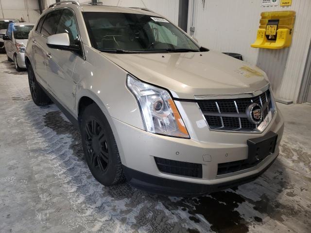 CADILLAC SRX LUXURY 2010 3gyfnaey6as638953