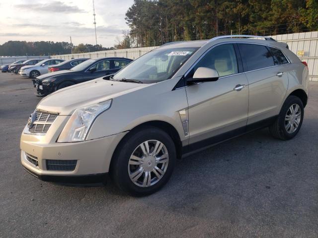 CADILLAC SRX LUXURY 2011 3gyfnaey7bs549555