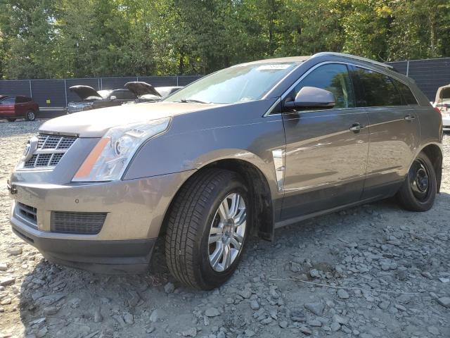 CADILLAC SRX LUXURY 2011 3gyfnaey7bs559051