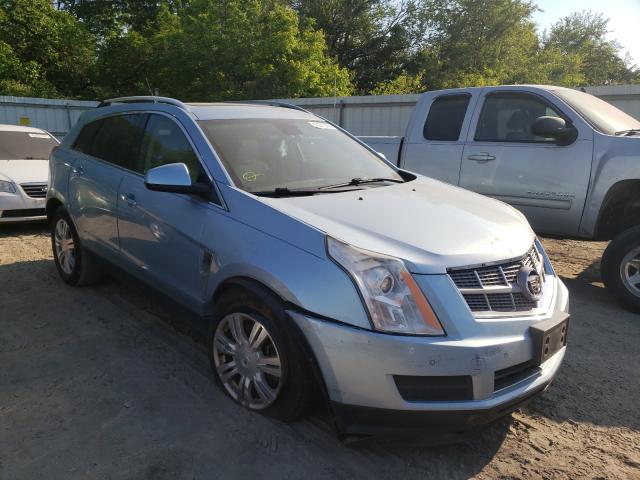 CADILLAC SRX LUXURY 2011 3gyfnaey7bs597069