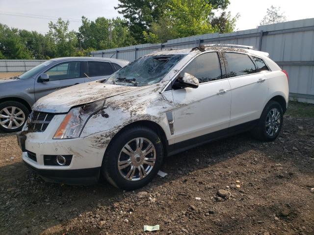 CADILLAC SRX LUXURY 2011 3gyfnaey7bs612623