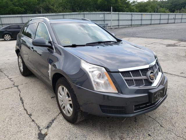 CADILLAC SRX LUXURY 2011 3gyfnaey7bs613139